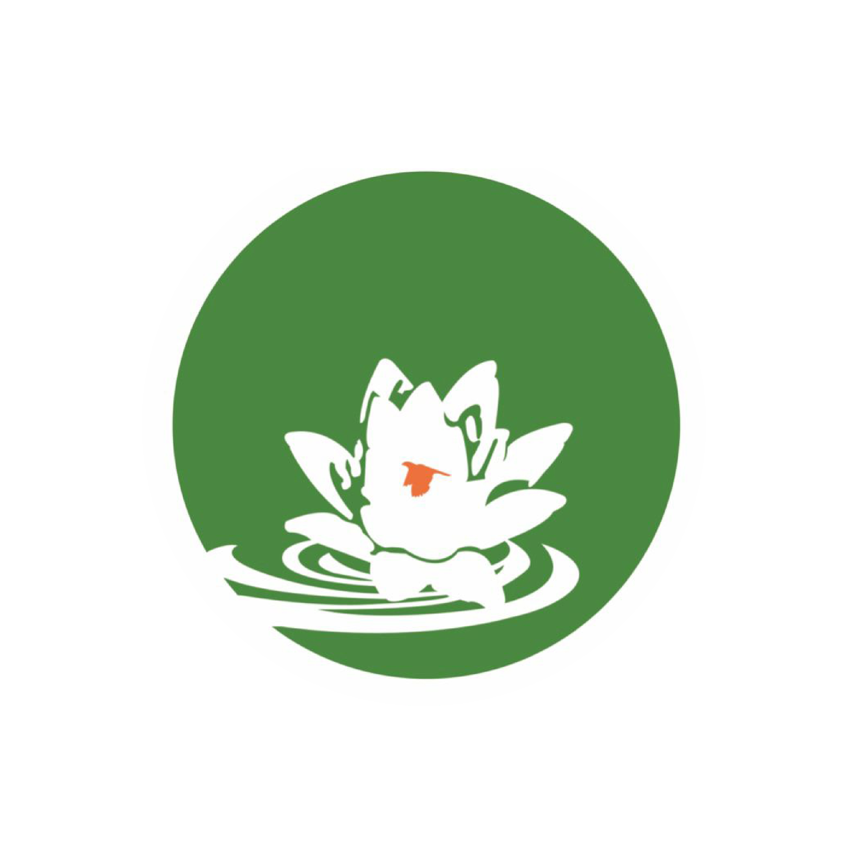 بنیاد خیریه معلولین ایران