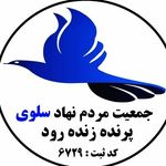 سلوی پرنده زنده رود | سازمان مردم نهاد سلوی