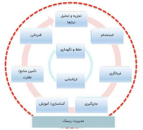 چارچوب چرخه عمر داوطلب