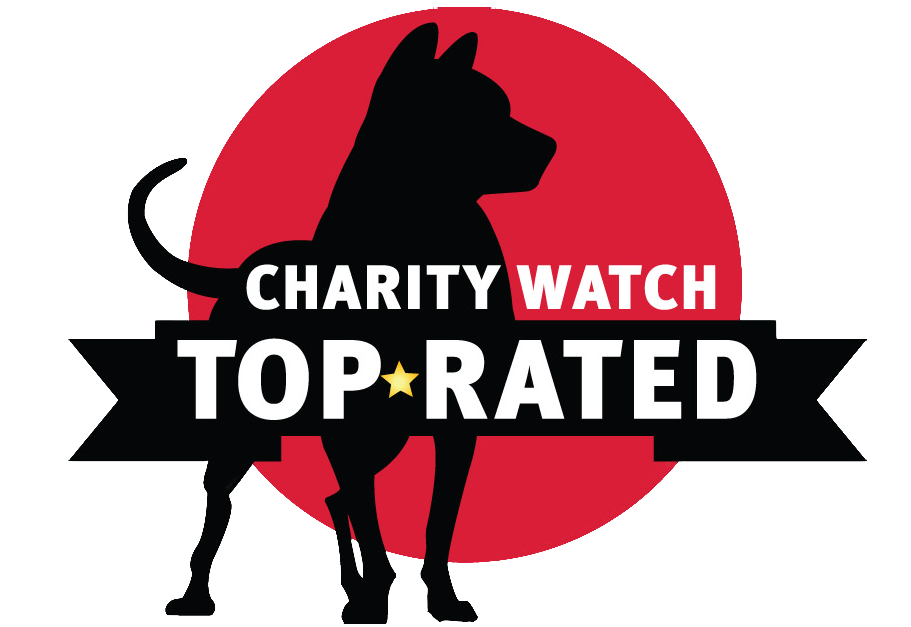 Charity Watch، دقیق‌ترین تحلیل‌گر خیریه‌ها