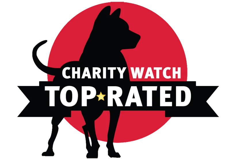 Charity Watch، دقیق‌ترین تحلیل‌گر خیریه‌ها