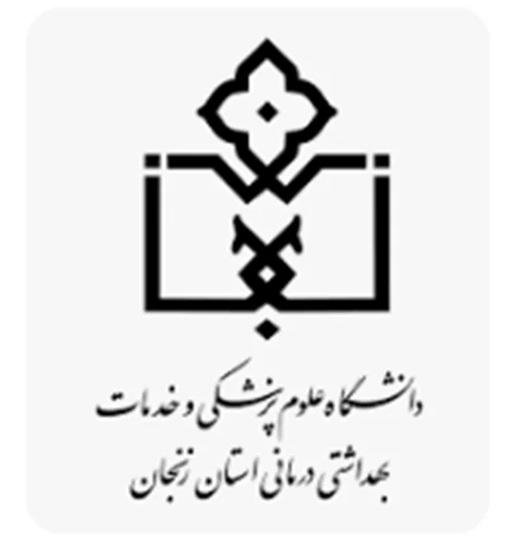 خیریه حمایت از بیماران و بیمارستان آیت الله موسوی زنجان