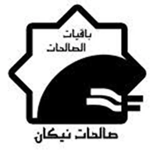 خیریه صالحات نیکان